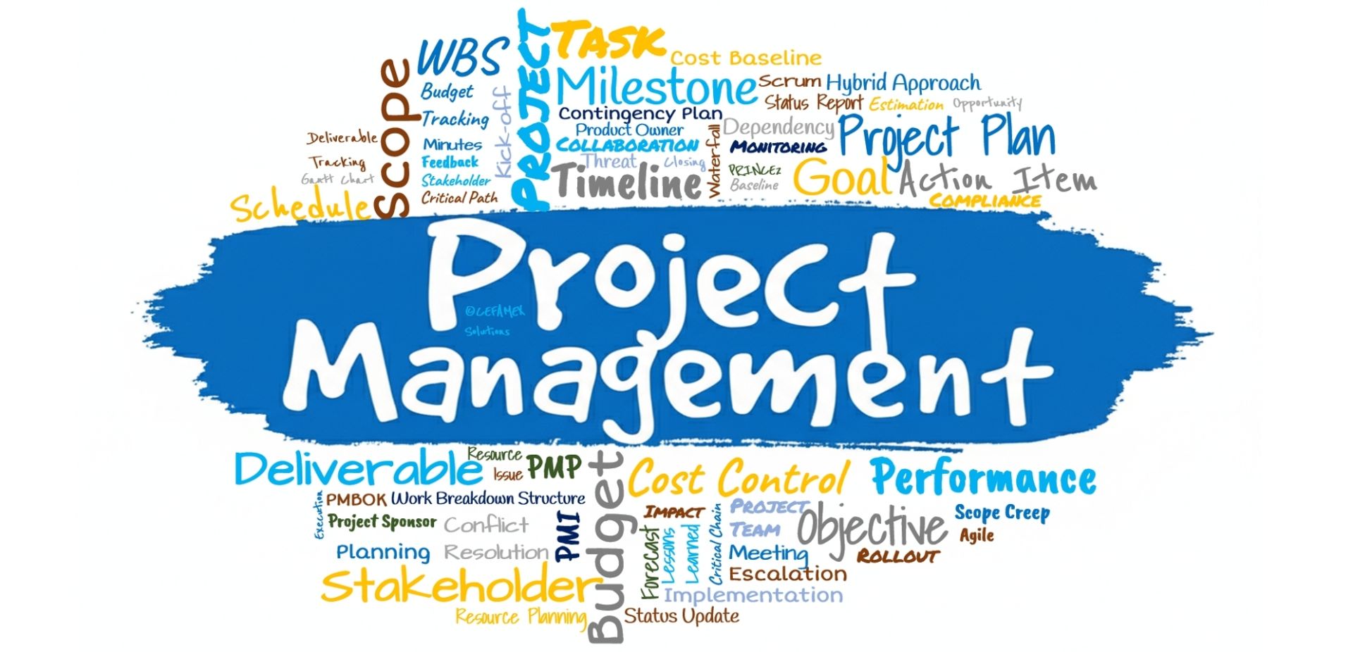 Project Management - CEFAMEX Solutions