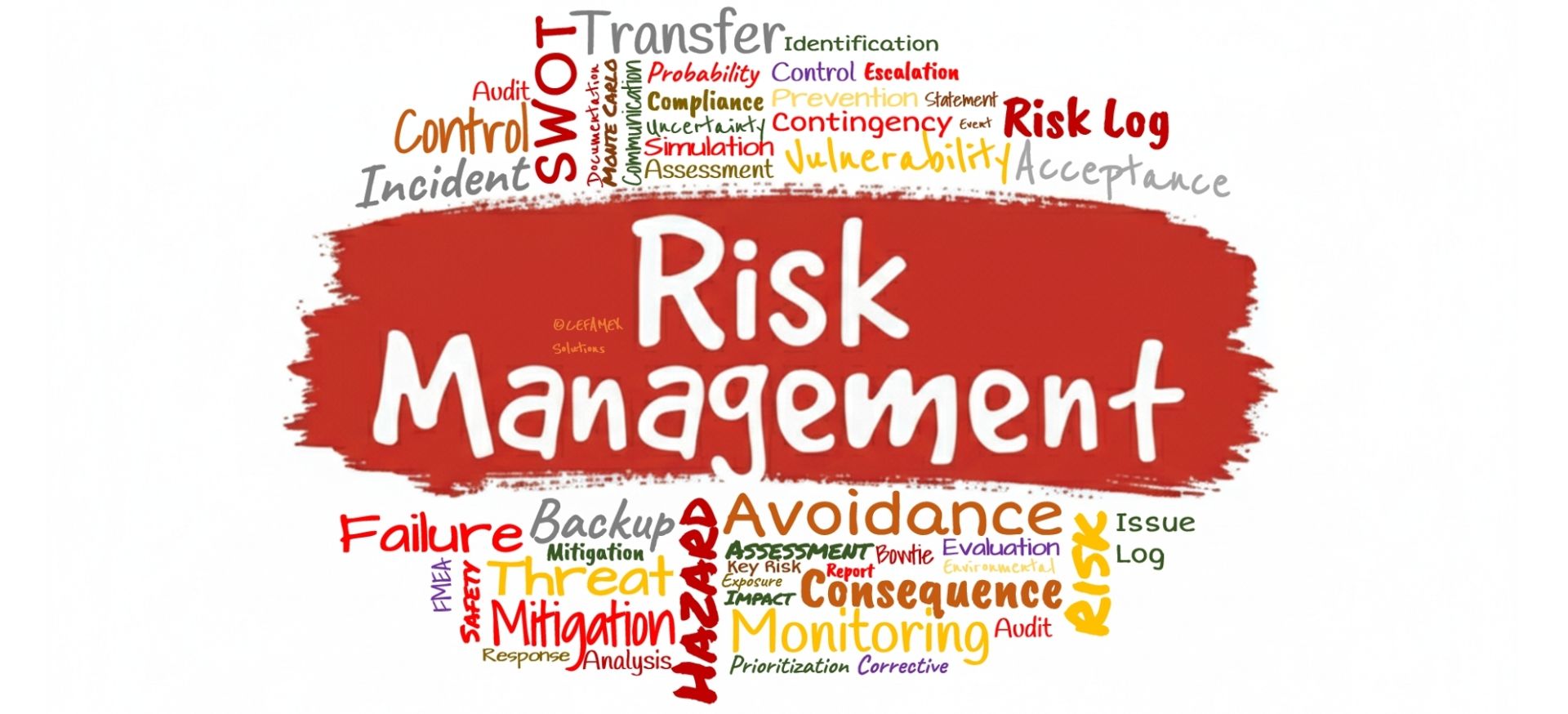 Professional Risk Management - CEFAMEX Solutions